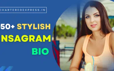 250+ Instagram Stylish Bio | Stylish Bio for Insta 2023 IG