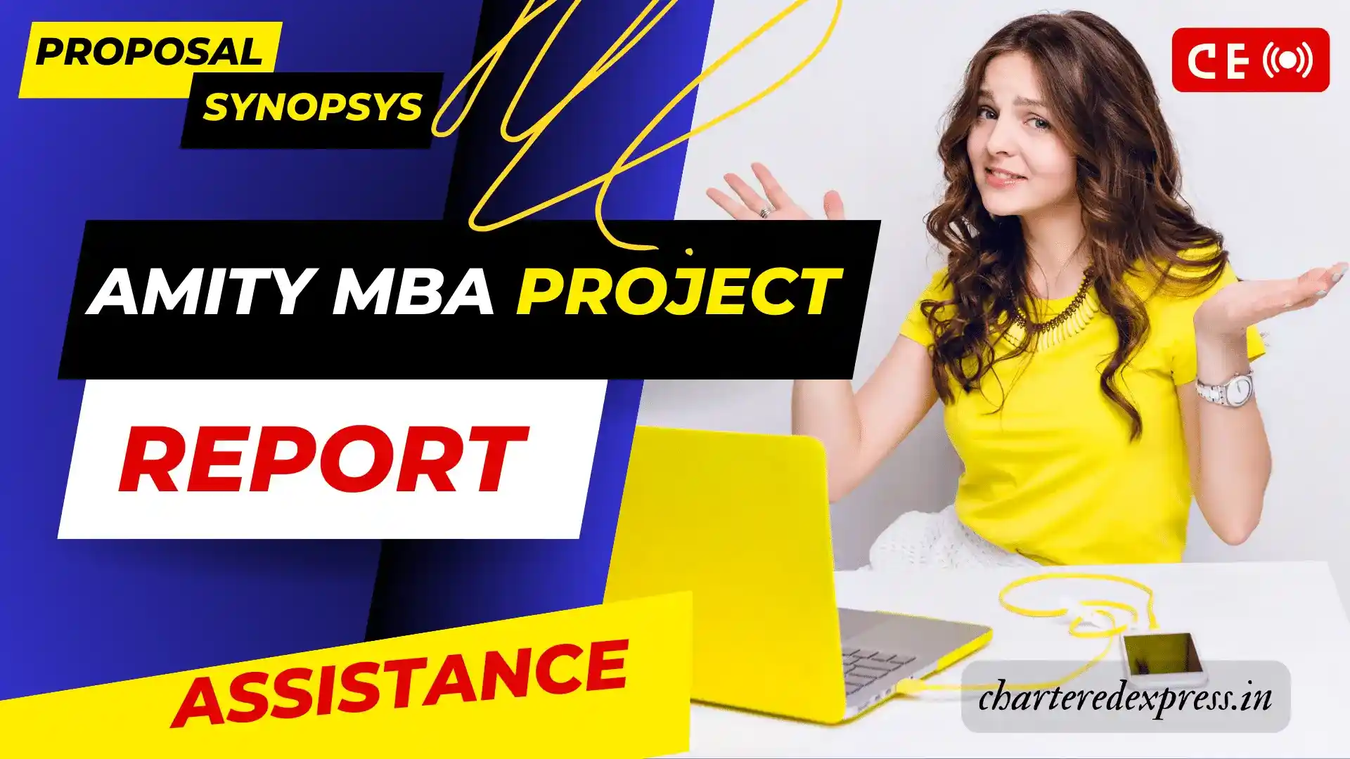 Amity MBA project report assistance